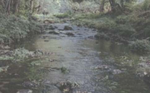 �x��СϪ���ĸ衷�иЅR����9ƪ��