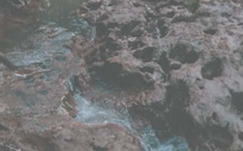 СϪ������������