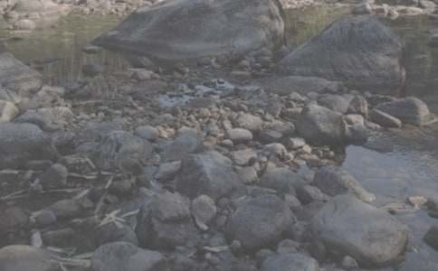 ��СϪ���ĸ衷�x��У�ͨ��17ƪ��