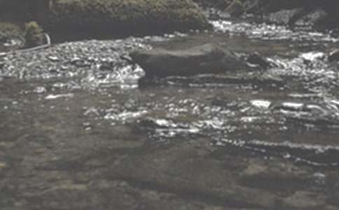 ��СϪ���ĸ衷�̌W��䛅���