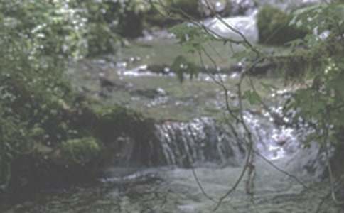 СϪ������������