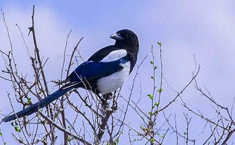 ������һ�꼉�����ϲ�o���u�n��