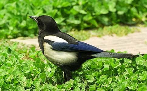 �����ã������ϲ�o���̌W(xu��)�O(sh��)Ӌ