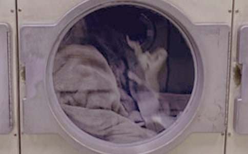 ϴ�C(j��)�ă�(n��i)Ͳ�����ϴ