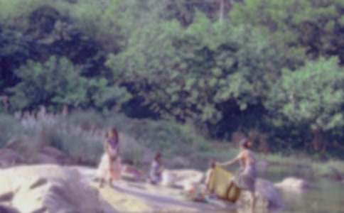 �ݶ���ϴ�C�����ϴ