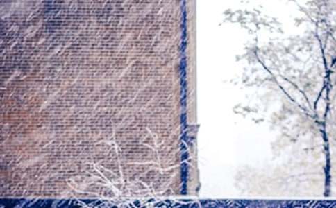 ��ѩ������