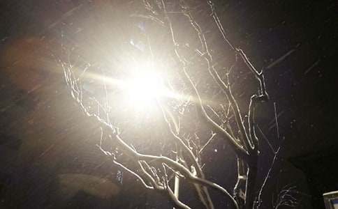 ��ѩ���İ�������