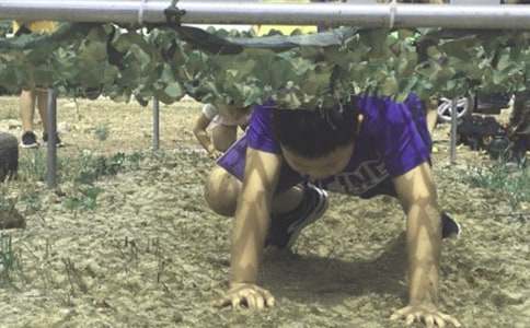 ���õ�����I������3ƪ