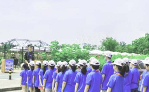 �Ƽ�����I(y��ng)����3ƪ