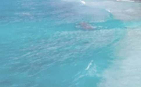 讀《夏日邀請函》有感