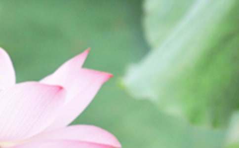 ������(ji��)������B(y��ng)��