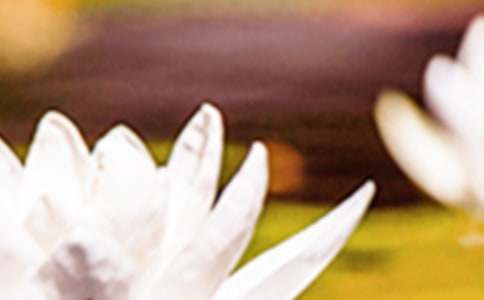 �������İ�(15ƪ)