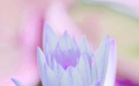 夏至的文案集合15篇