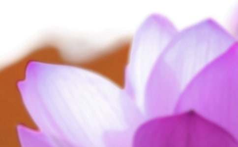 夏至快樂祝福語