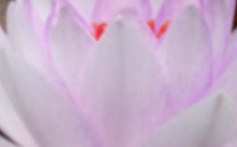 夏至文案短句干凈