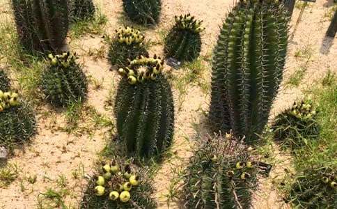 [��(y��u)�x]����������