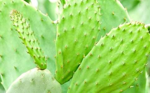 ����������15ƪ�����T��