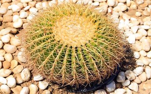 �����]������������