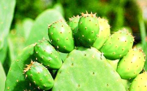 ���᡿����������