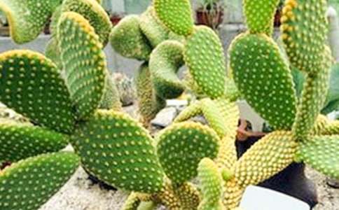 ����������23ƪ[�ϼ�]