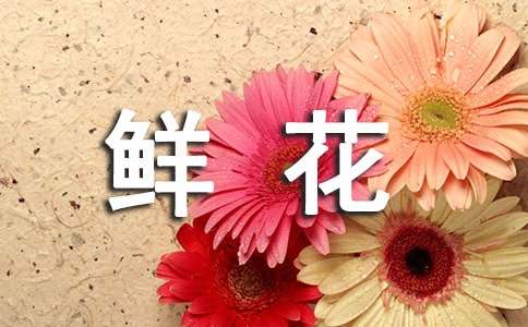 女神節(jié)鮮花文案