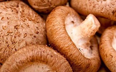 �㹽���u�������