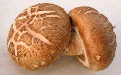 �㹽���u���������