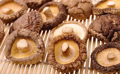 �۲˳��㹽�ļҳ�������ȫ