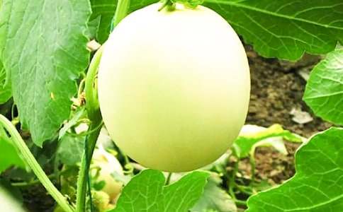 ��ϵĹ�Ч�c���� ��ϵĠI�B(y��ng)�rֵ��ʳ�ý���