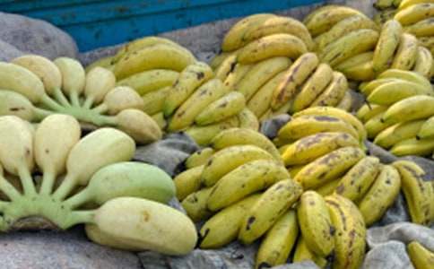 �㽶�܌W�x���