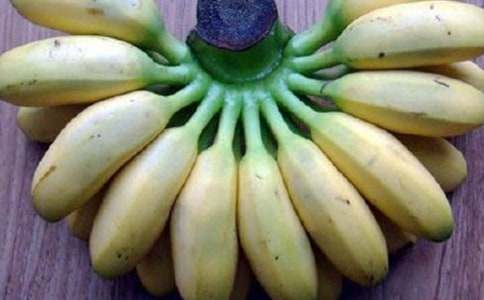 �����]���㽶��������ƪ