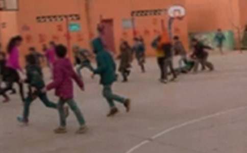 美麗鄉(xiāng)村小學(xué)作文