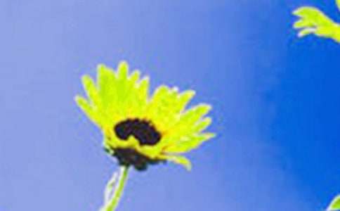 ���տ��ĊW������