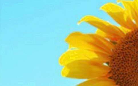 �p�����տ����иУ�����2ƪ��