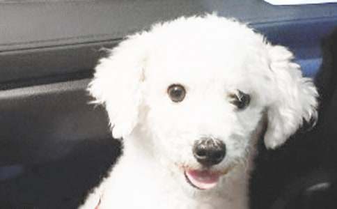 �xС���X�X�и�