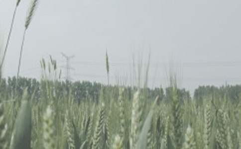 С�����씵������