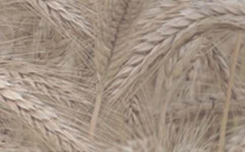 С�����N��r�{�Ј��