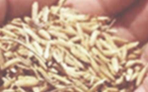 С����֭�ļҳ��������]