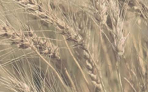 С�����N��r�{(di��o)�Ј�(b��o)��