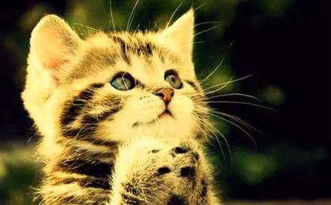 �ɐ�(��i)��С؈