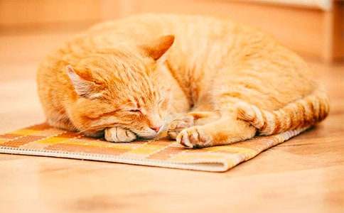 ���؂䡿С؈������3ƪ