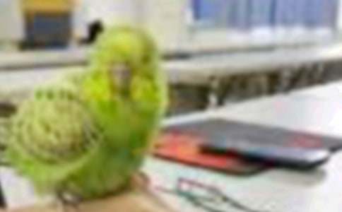 ���o(h��)С�B�����ľ��x