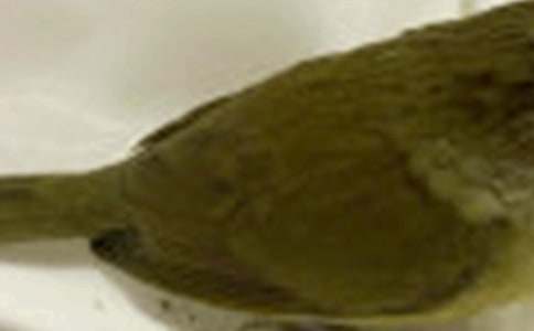 ��ŭ��С�B����