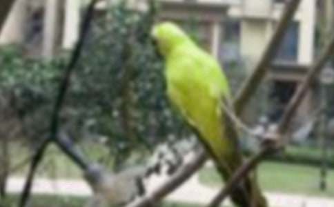 �Һ�С�B�Ĺ�������