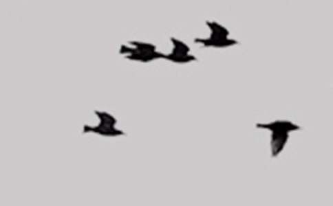 [��(y��u)�x]�܂���С�B����15ƪ