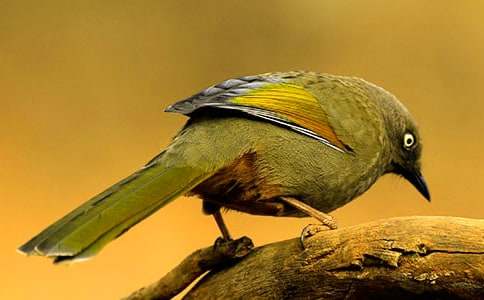 ���xС�B������ƪ