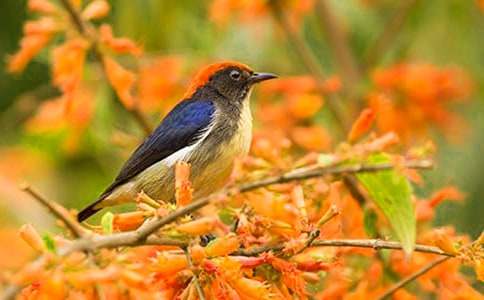 ��С�B�ؼ�����