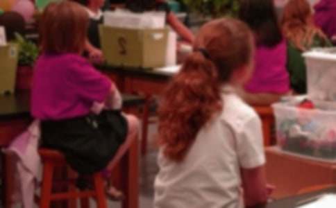 小學(xué)生周記