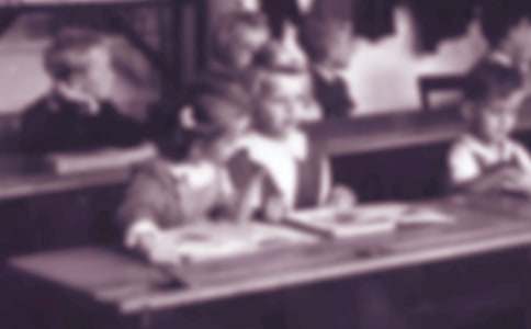 小學(xué)生農(nóng)村周記范文