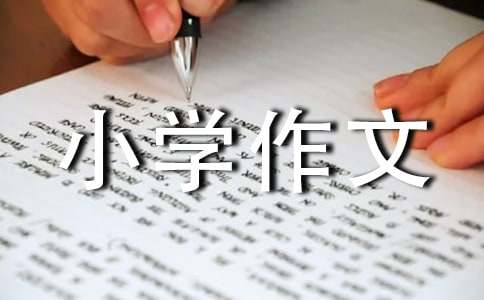 我愛書法小學作文400字八篇